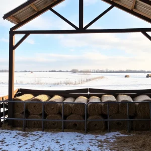 Neatly stacked hay bales in a horse barn during winter